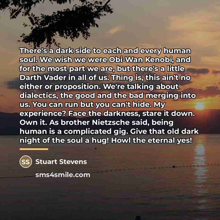 “There's a dark side to each and every human soul.…” quote by Stuart Stevens