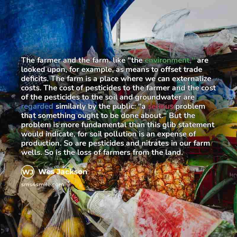 “The farmer and the farm, like "the environment," are looked…” quote by Wes Jackson