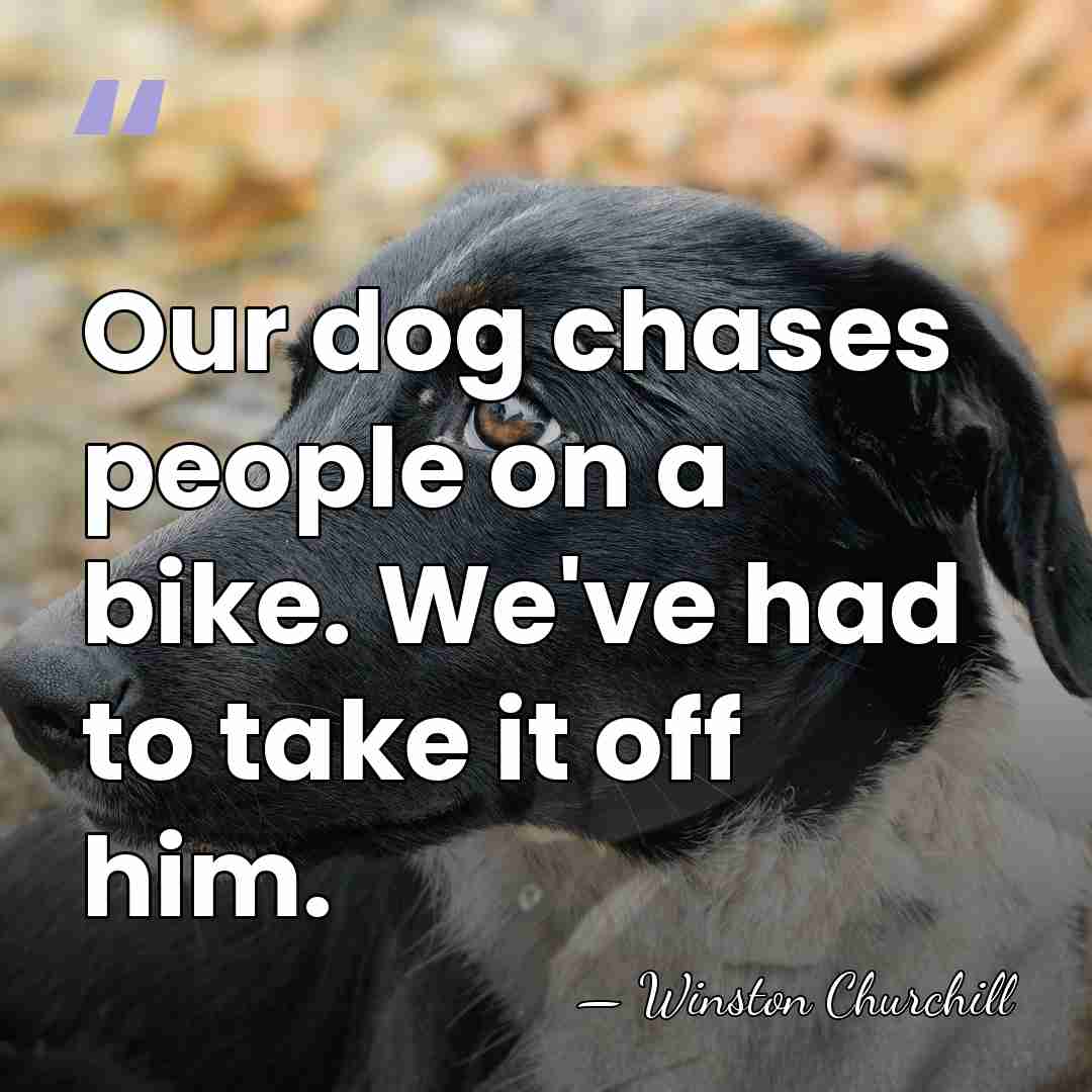 Our dog chases people on a bike. We've had to take it&hellip; - Winston Churchill