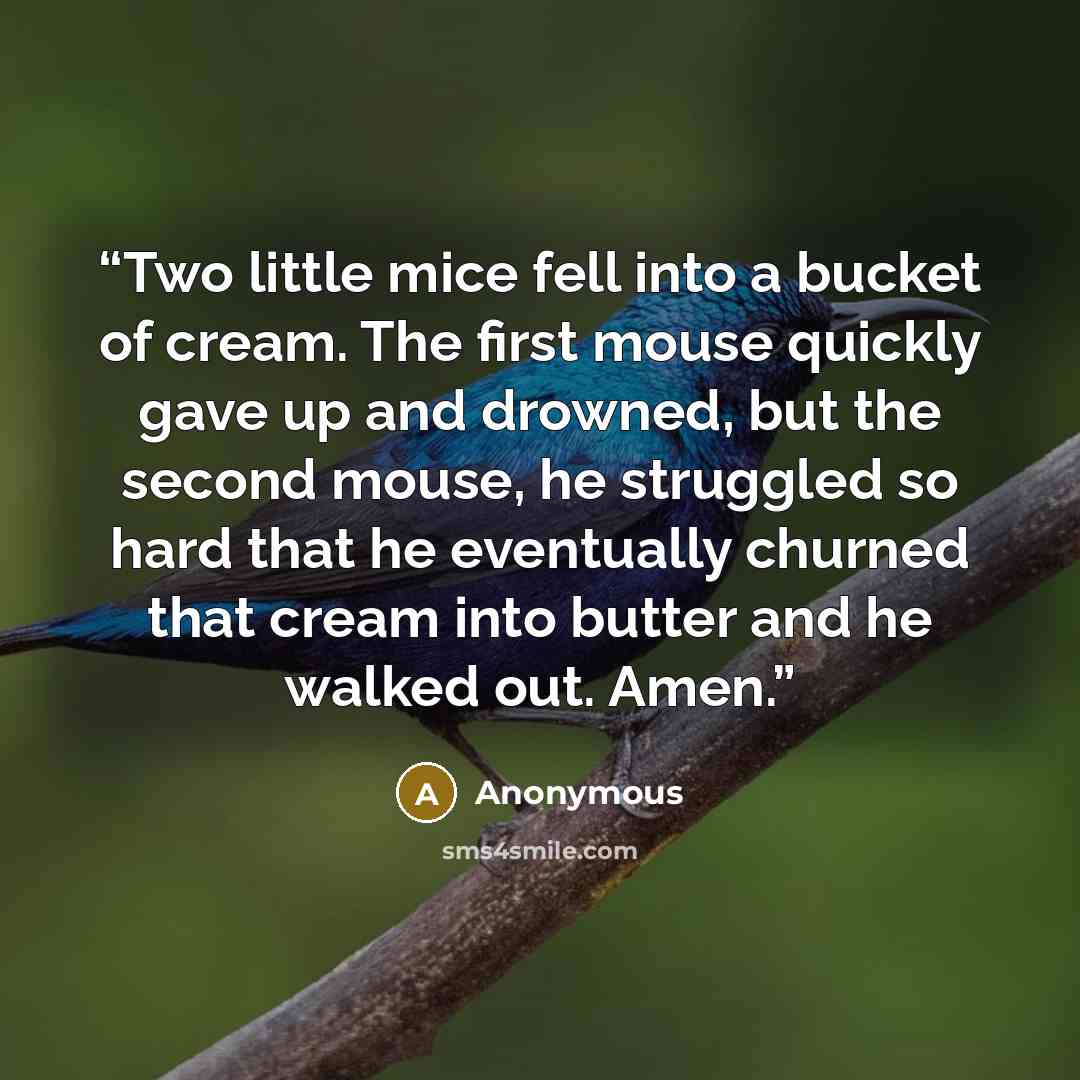 “Two little mice fell into a bucket of cream. The first mouse quickly gave up and drowned, but the second mouse, he struggled so hard that he eventually churned that cream into butter and he walked out. Amen.” quote by Anonymous