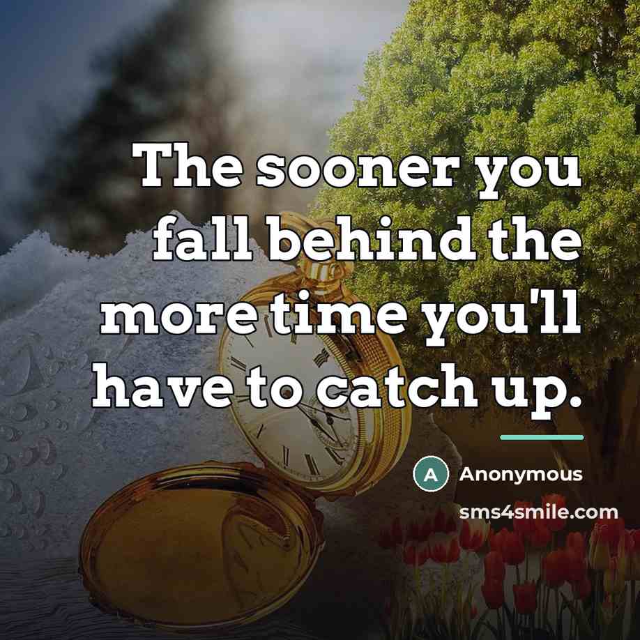 “The sooner you fall behind the more time you'll have…” quote by Anonymous