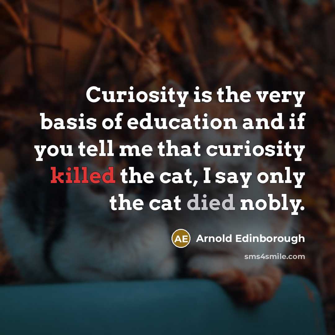 “Curiosity is the very basis of education and if you tell me that curiosity killed the cat, I say only the cat died nobly.” quote by Arnold Edinborough