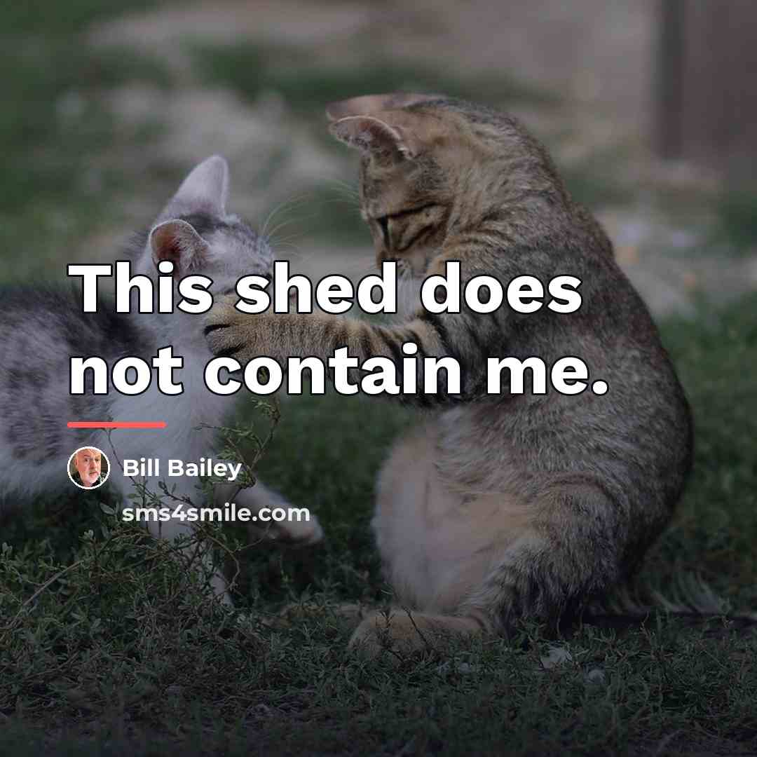 “This shed does not contain me.…” quote by Bill Bailey