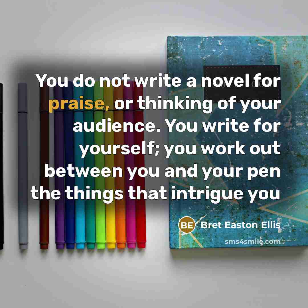 “You do not write a novel for praise, or thinking…” quote by Bret Easton Ellis