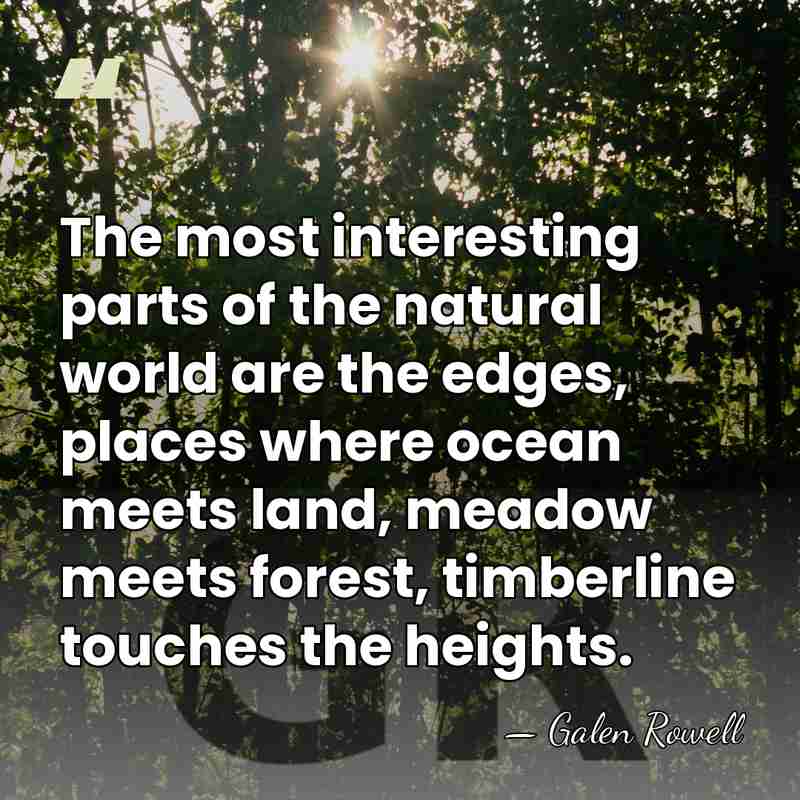 The most interesting parts of the natural world are the edges, places&hellip; - Galen Rowell