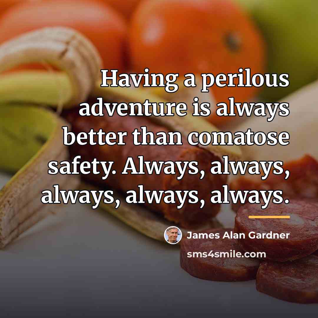 “Having a perilous adventure is always better than comatose safety.…” quote by James Alan Gardner