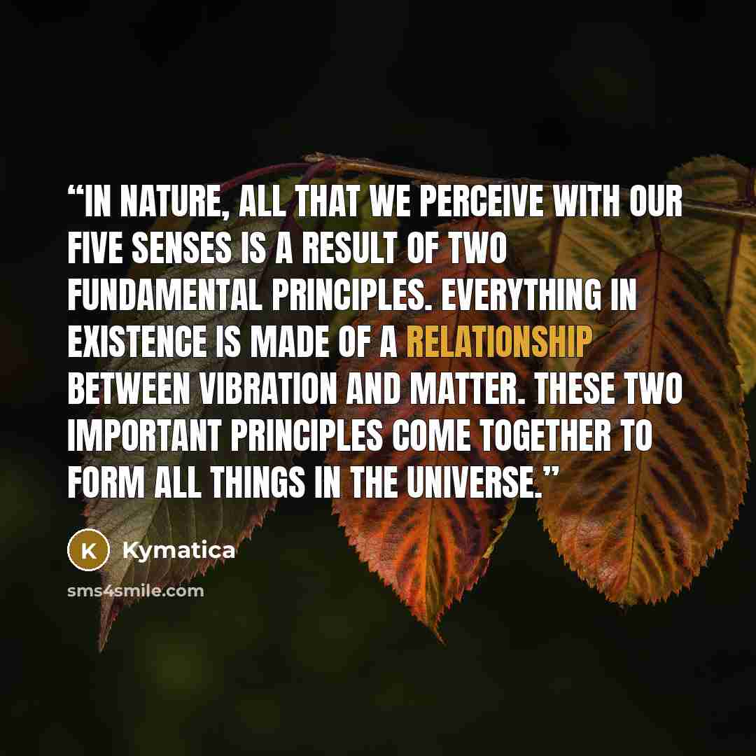 “In nature, all that we perceive with our five senses is a result of two fundamental principles. Everything in existence is made of a relationship between vibration and matter. These two important principles come together to form all things in the universe.” quote by Kymatica