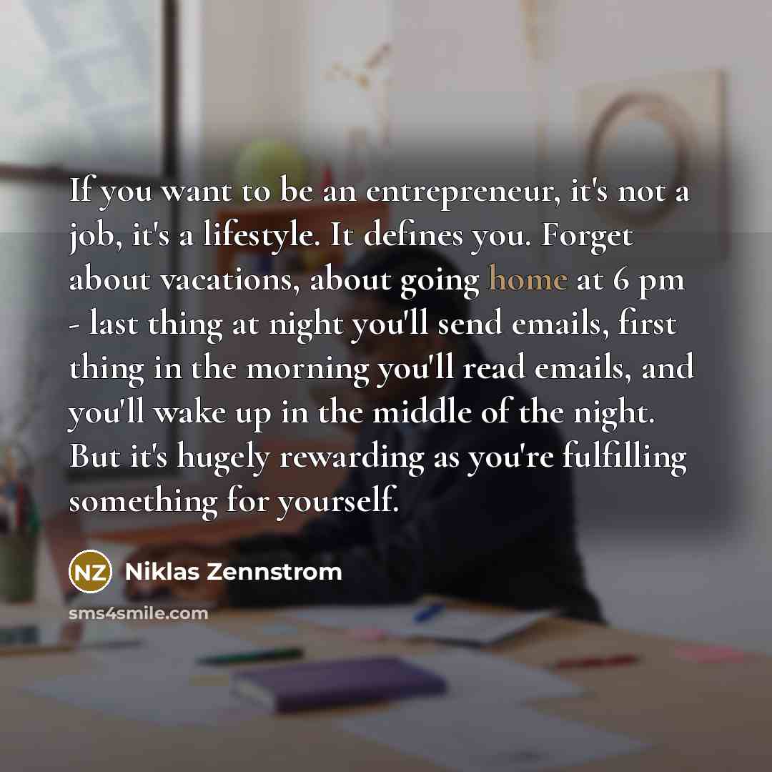 “If you want to be an entrepreneur, it's not a…” quote by Niklas Zennstrom