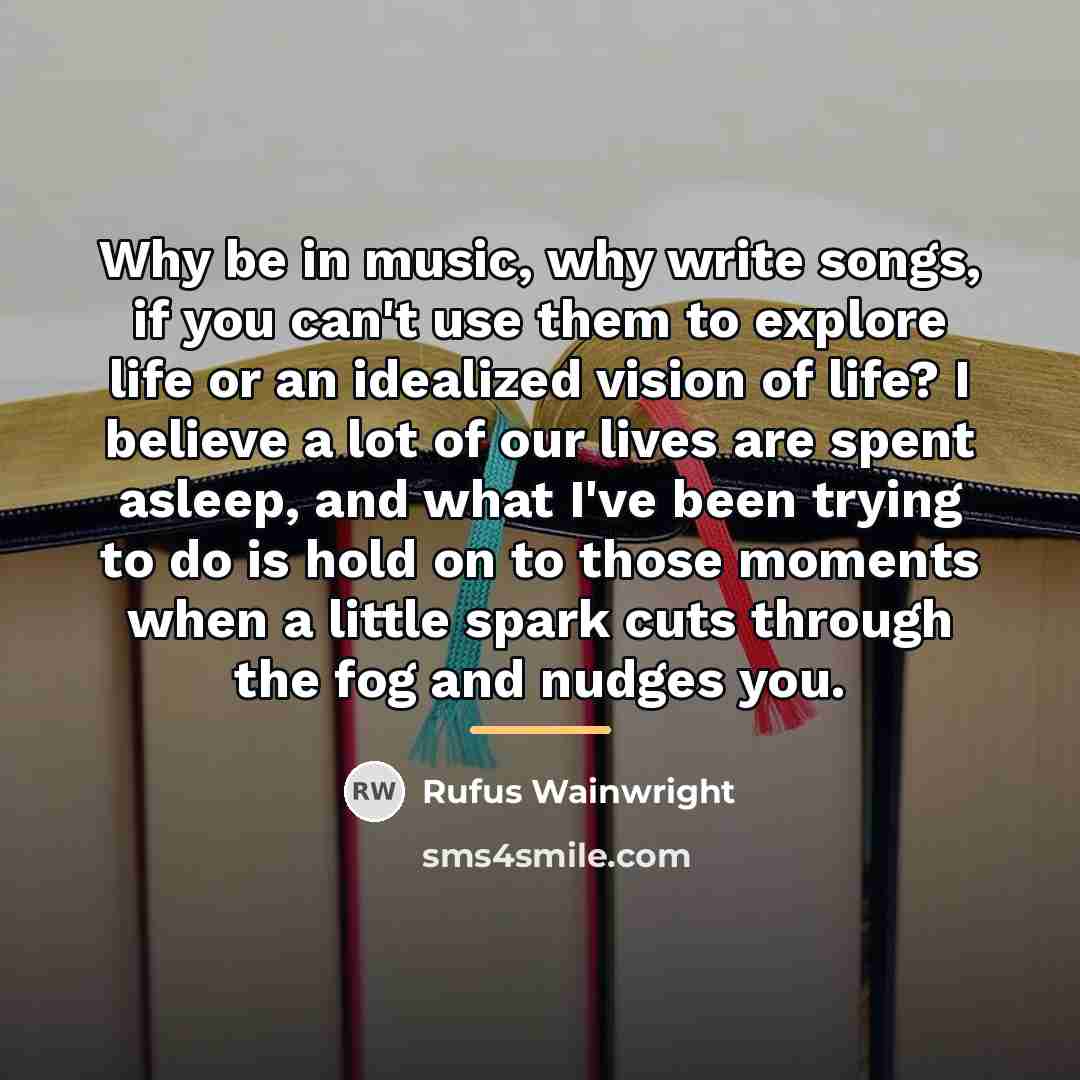 “Why be in music, why write songs, if you can't…” quote by Rufus Wainwright