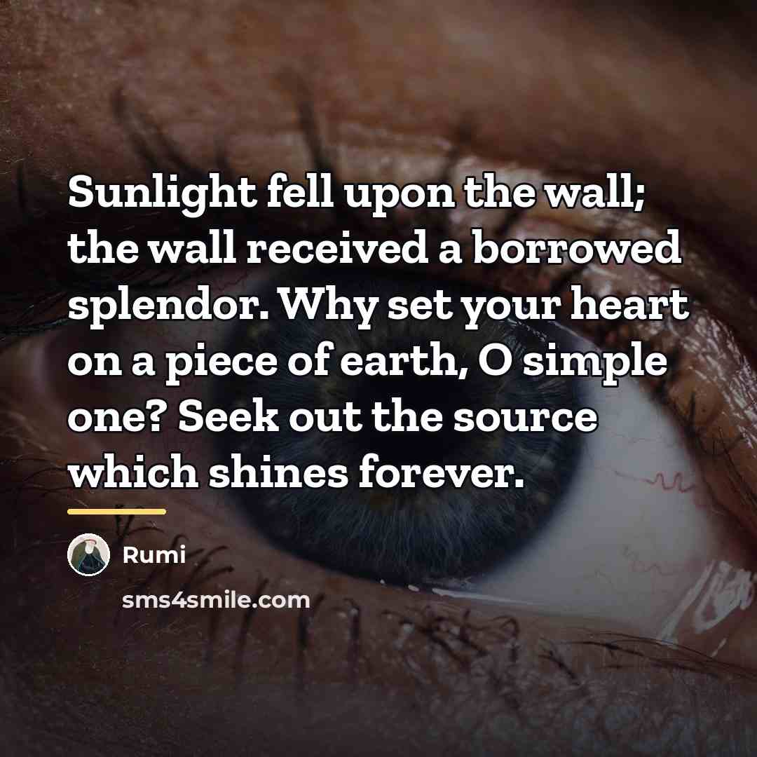 “Sunlight fell upon the wall; the wall received a borrowed…” quote by Rumi