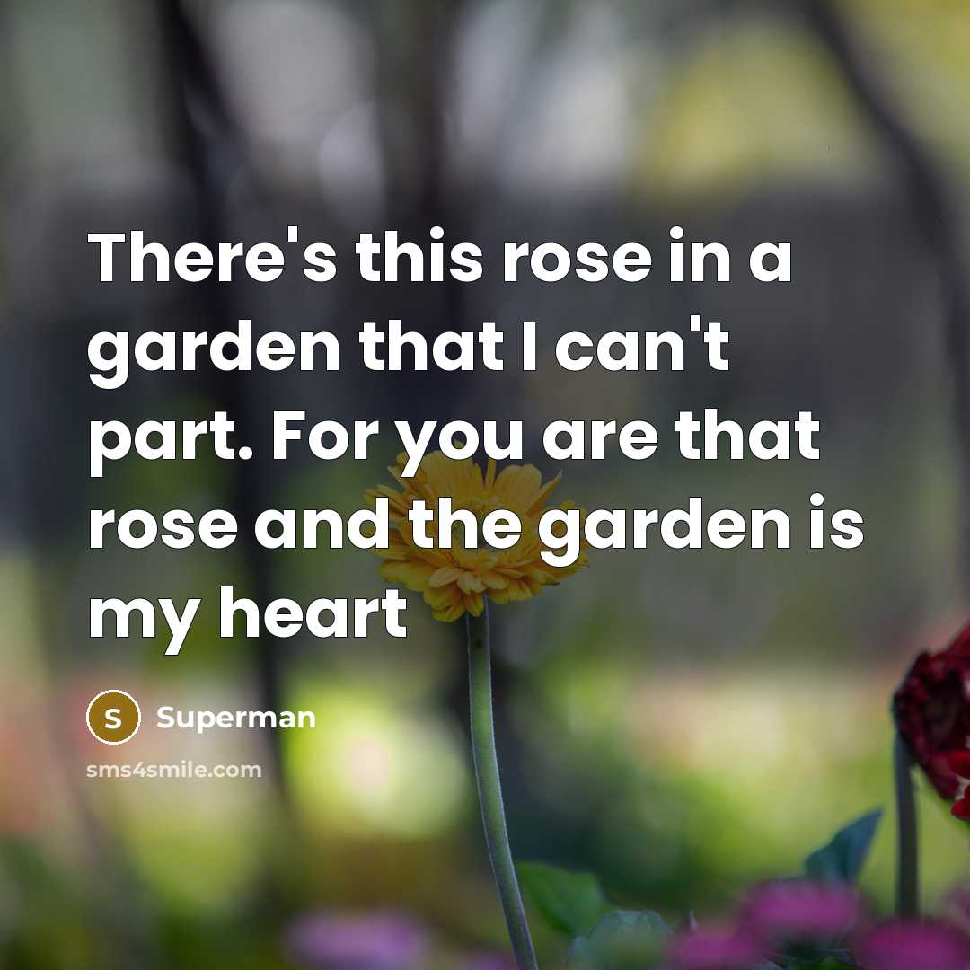 “There's this rose in a garden that I can't part.…” quote by Superman