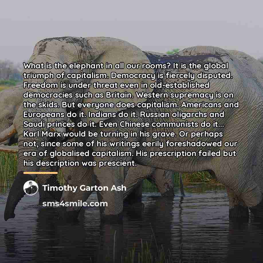 “What is the elephant in all our rooms? It is…” quote by Timothy Garton Ash