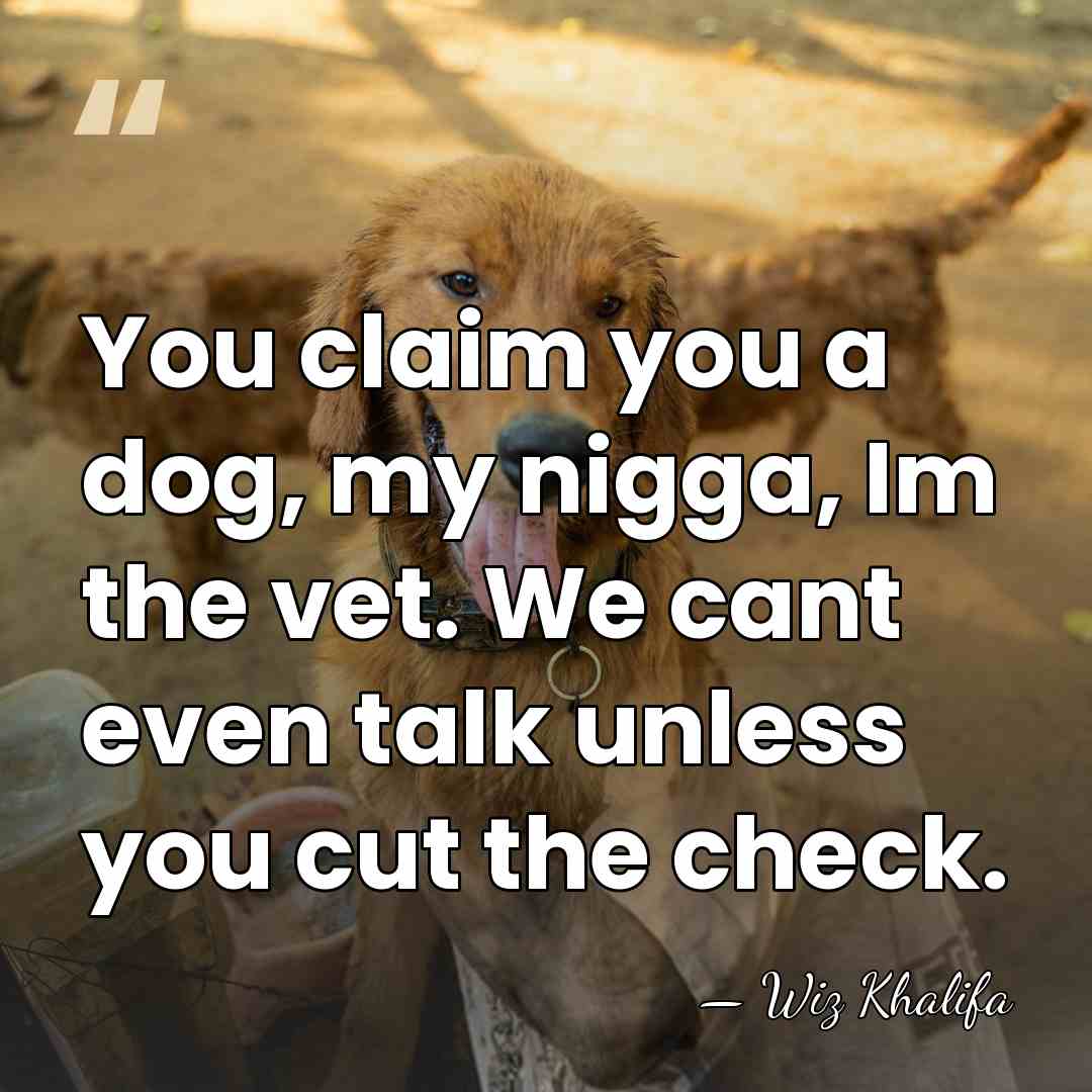 You claim you a dog, my nigga, Im the vet. We cant&hellip; - Wiz Khalifa