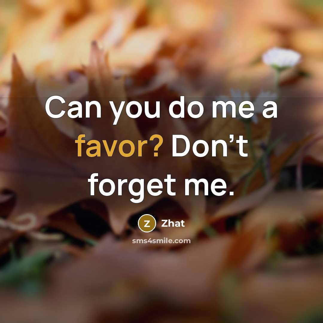“Can you do me a favor? Don't forget me.” quote by Zhat