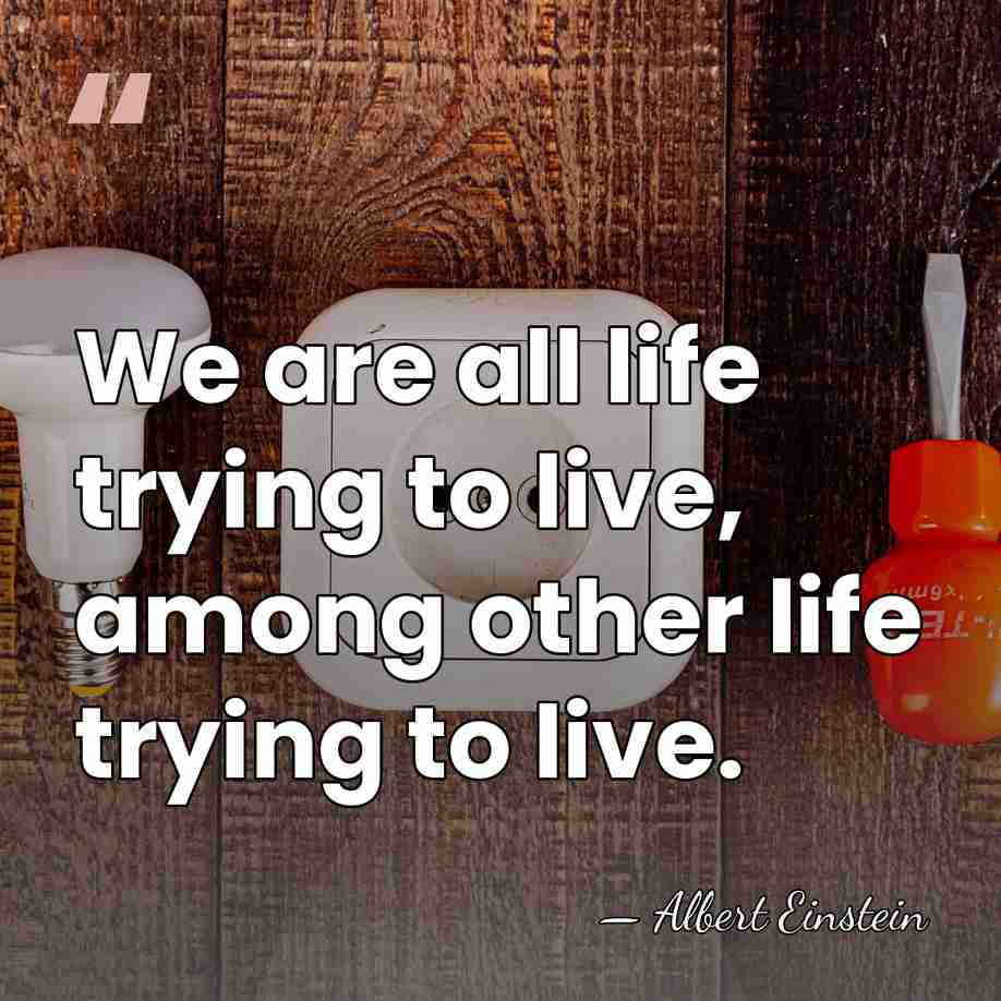 We are all life trying to live, among other life trying to&hellip; - Albert Einstein