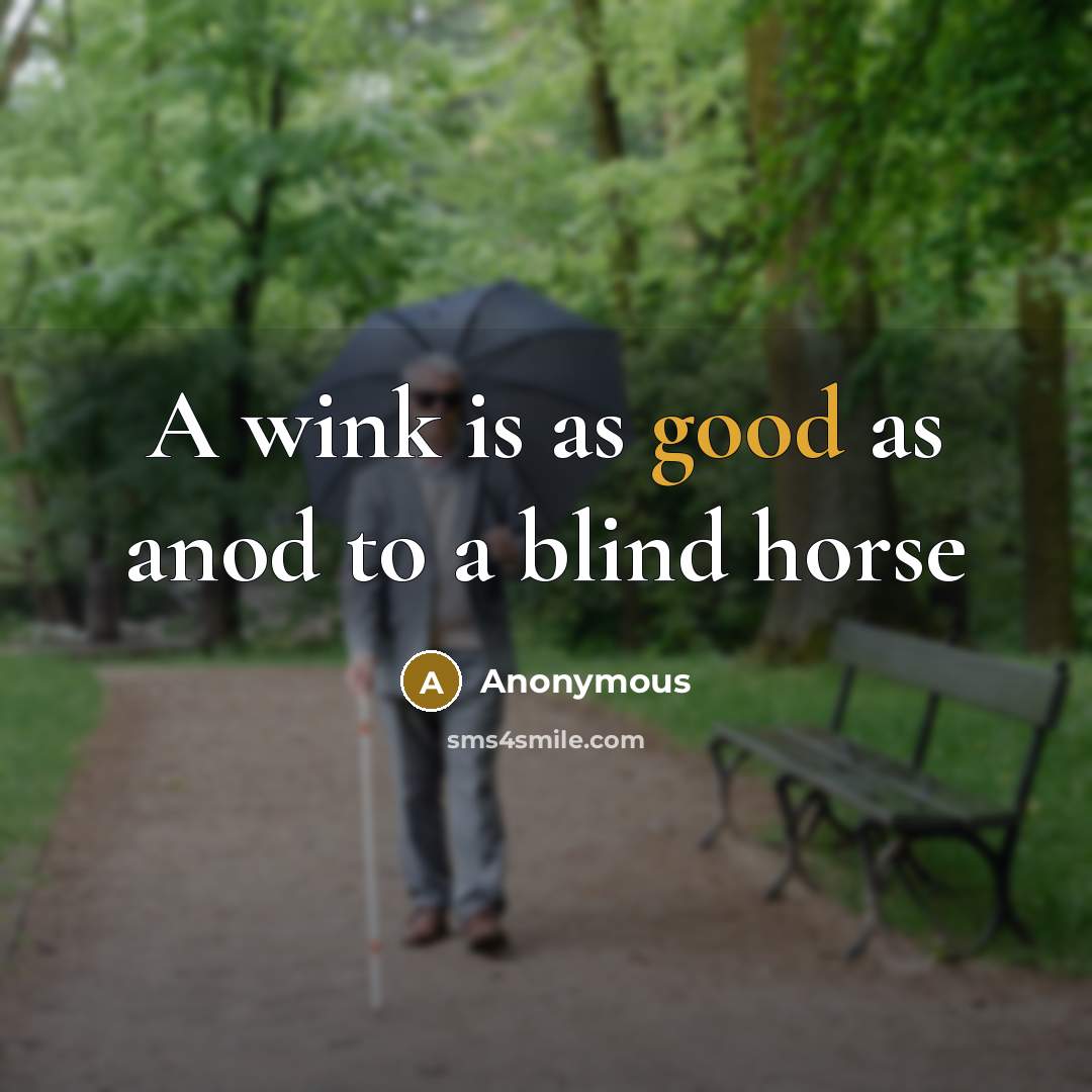“A wink is as good as anod to a blind…” quote by Anonymous