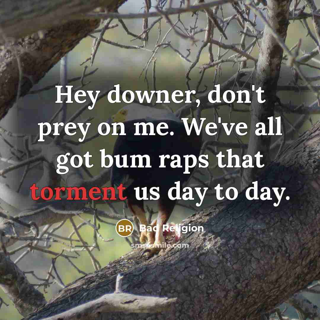 “Hey downer, don't prey on me. We've all got bum…” quote by Bad Religion