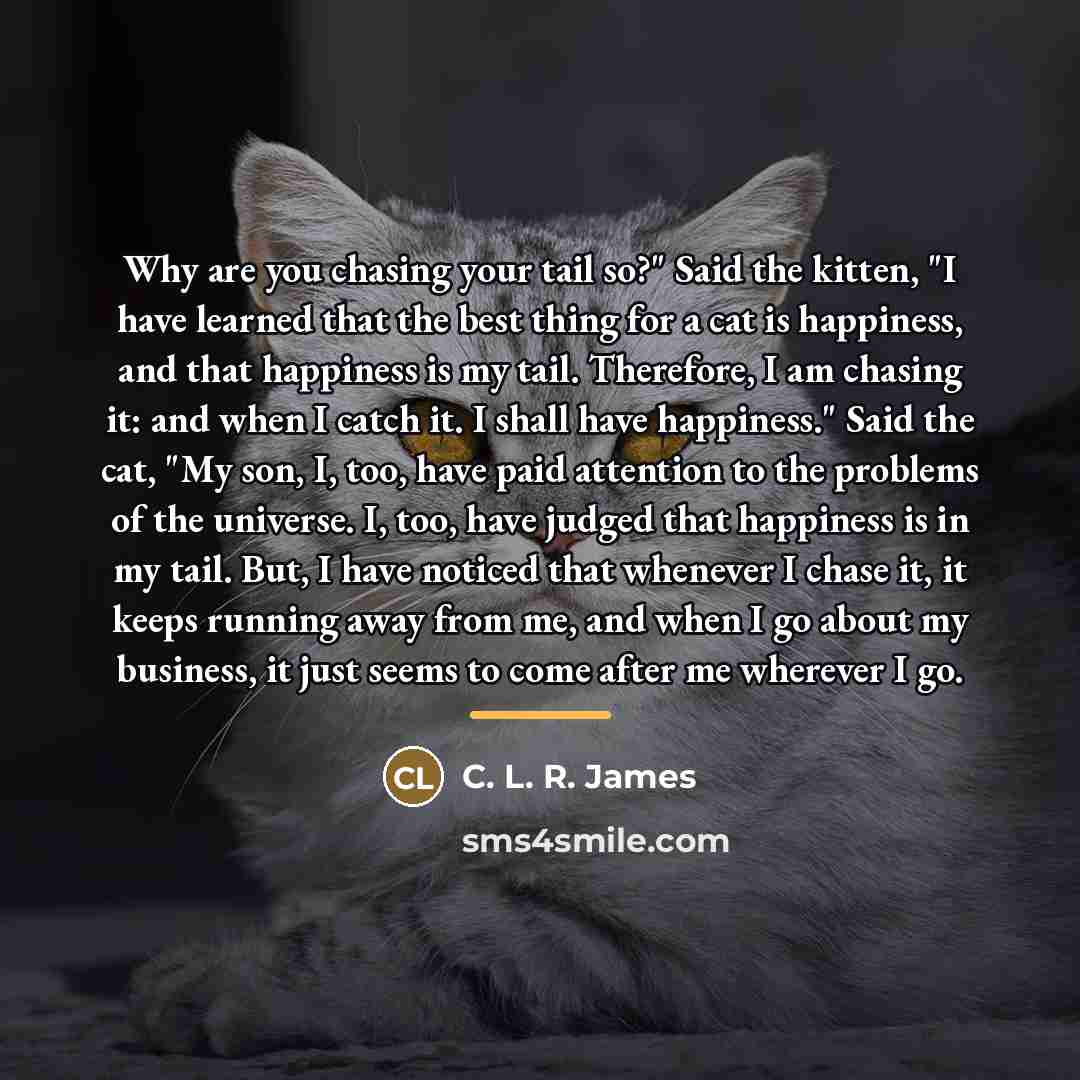 “Why are you chasing your tail so?" Said the kitten,…” quote by C. L. R. James