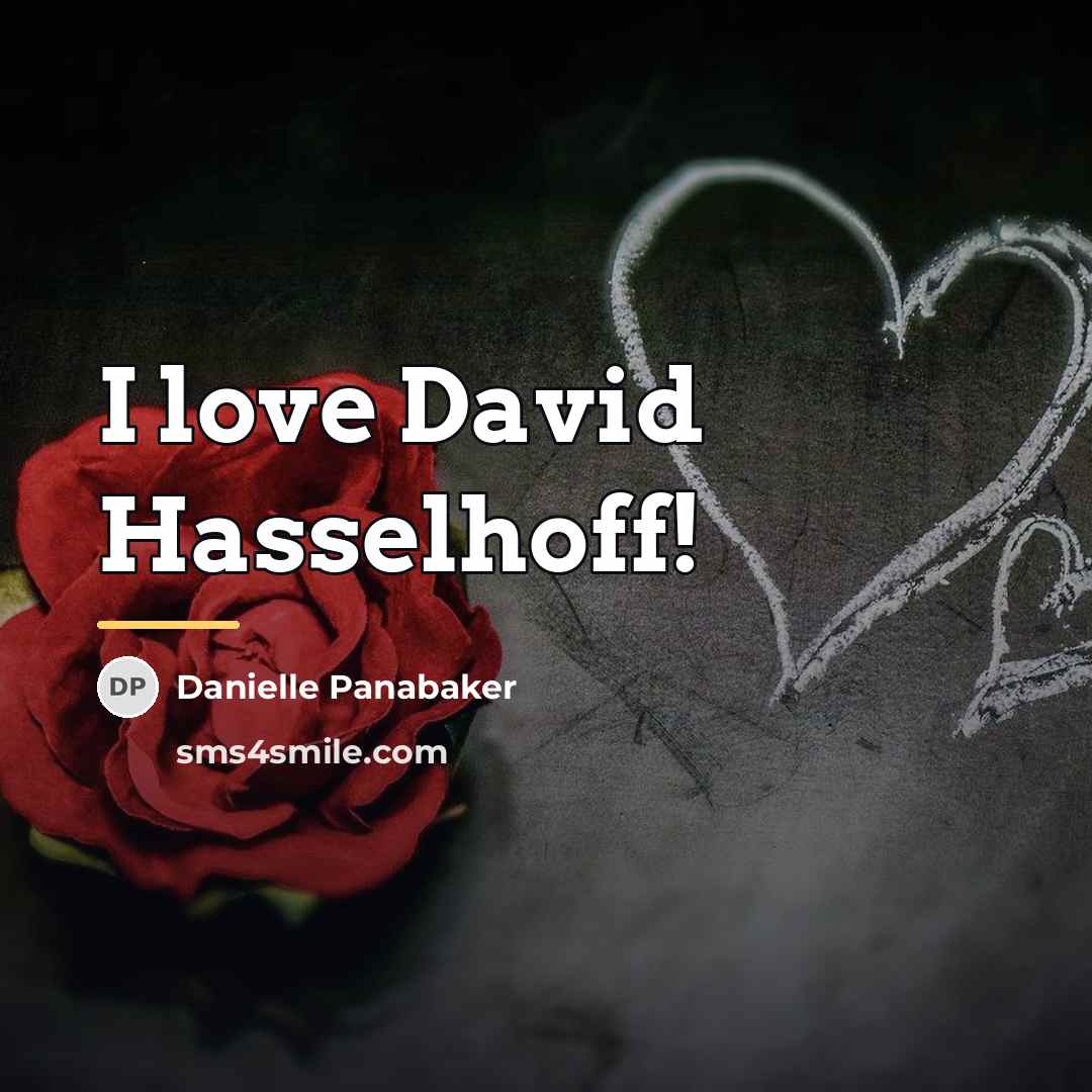 “I love David Hasselhoff!…” quote by Danielle Panabaker