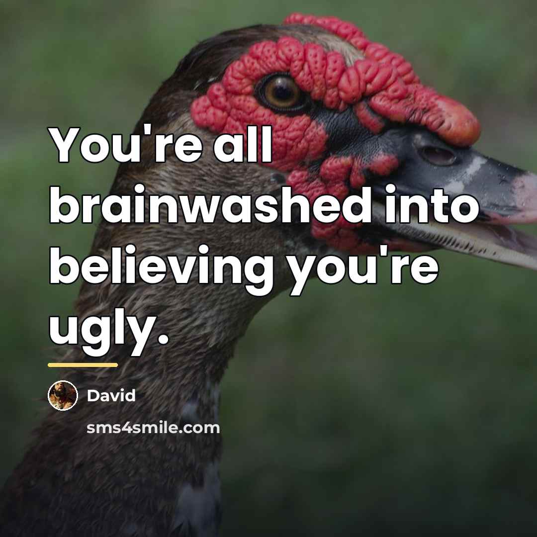 “You're all brainwashed into believing you're ugly.…” quote by David