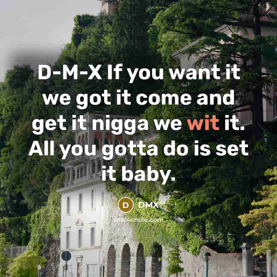“D-M-X If you want it we got it come and…” quote by Dmx