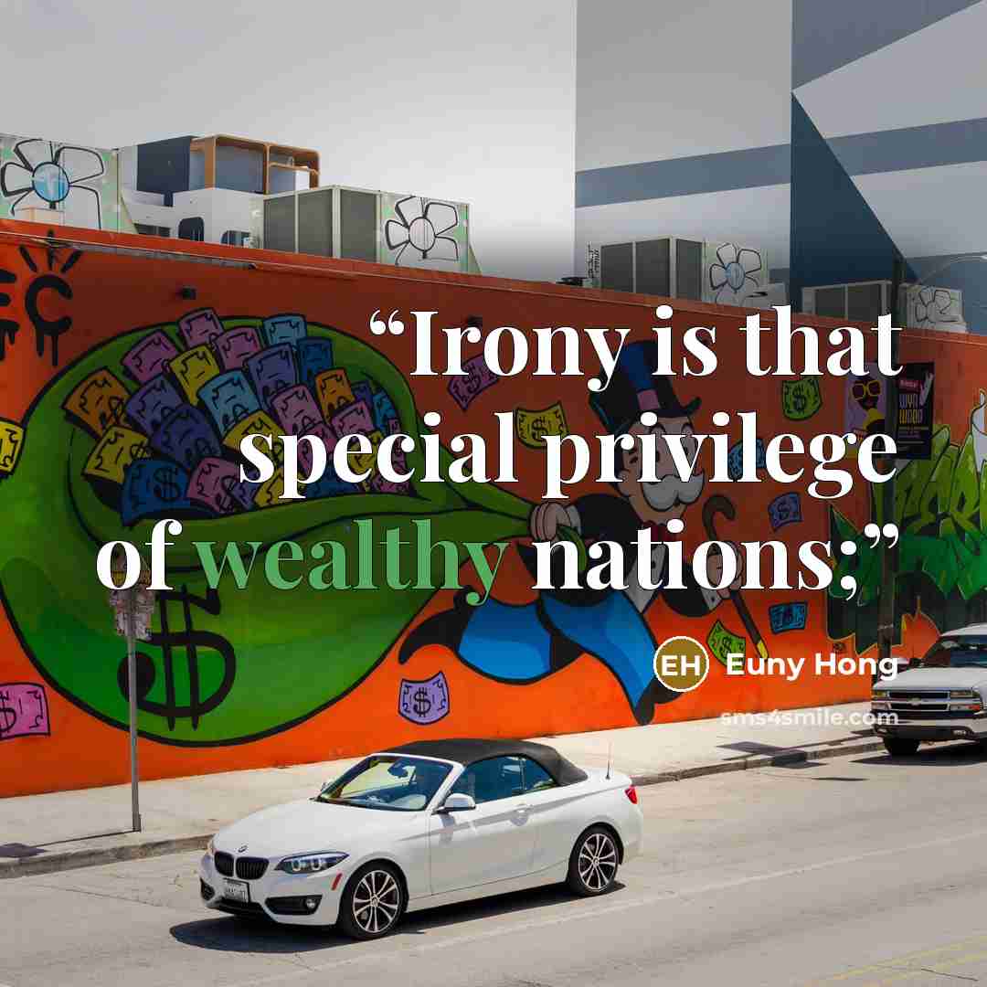 “Irony is that special privilege of wealthy nations;” quote by Euny Hong