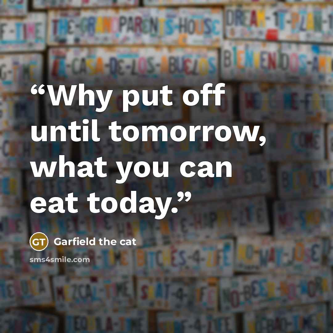 “Why put off until tomorrow, what you can eat today.” quote by Garfield the cat