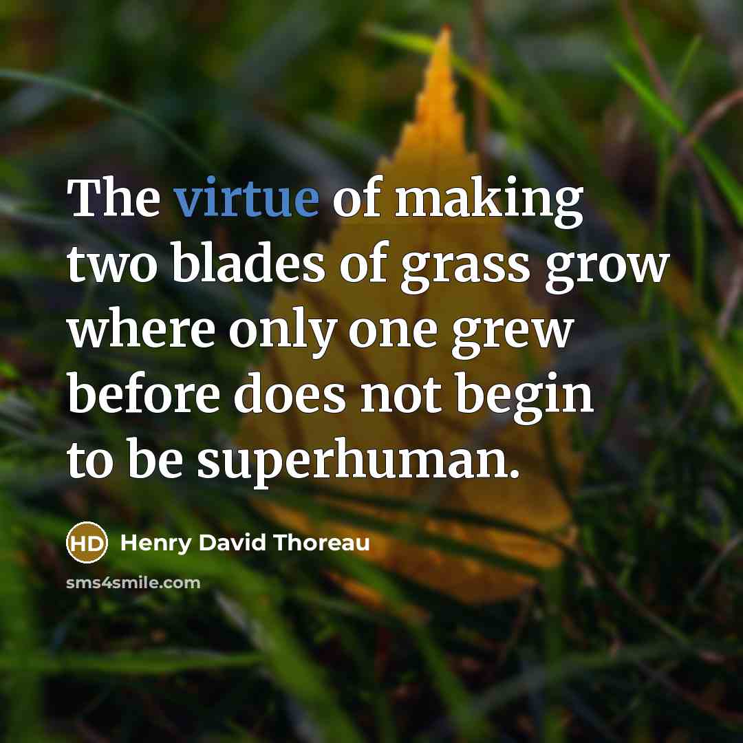 “The virtue of making two blades of grass grow where…” quote by Henry David Thoreau