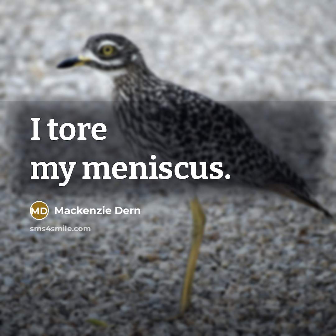 “I tore my meniscus.” quote by Mackenzie Dern