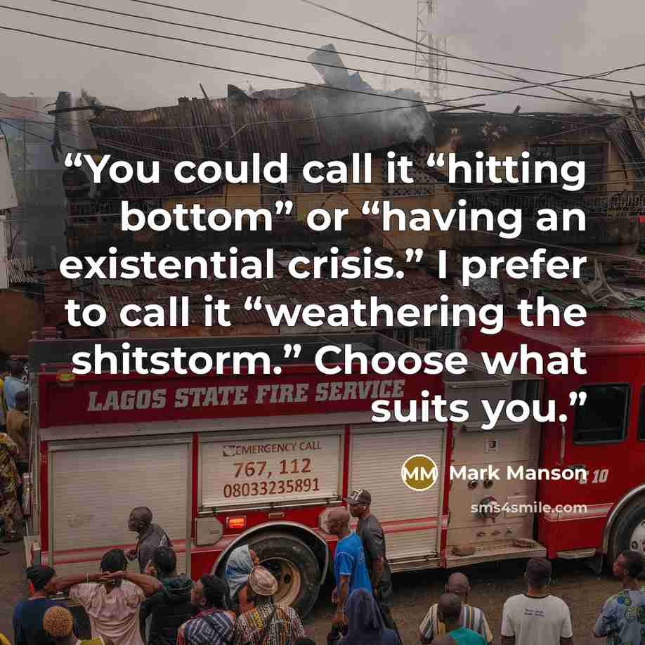 “You could call it “hitting bottom” or “having an existential crisis.” I prefer to call it “weathering the shitstorm.” Choose what suits you.” quote by Mark Manson