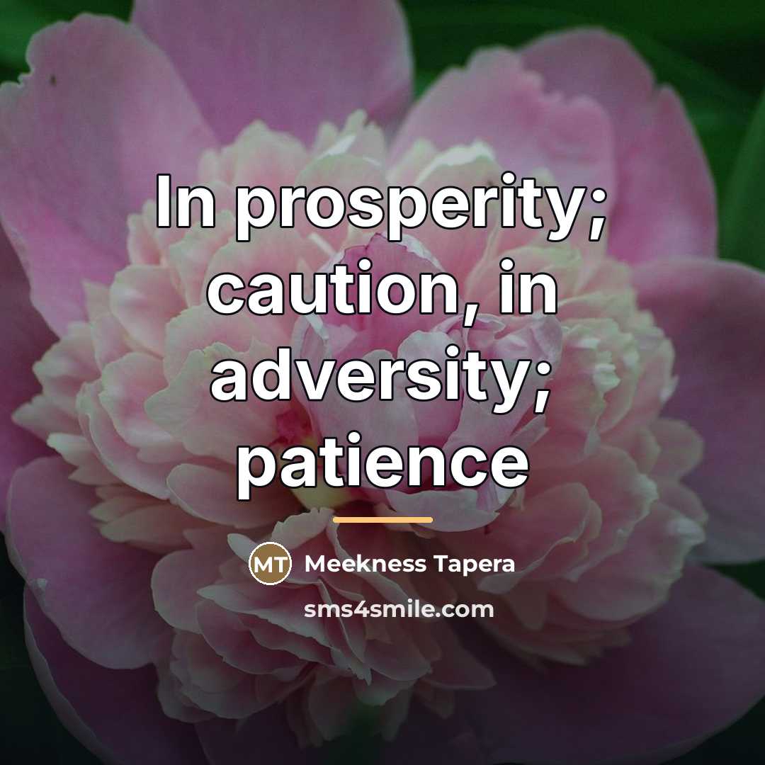 “In prosperity; caution, in adversity; patience…” quote by Meekness Tapera