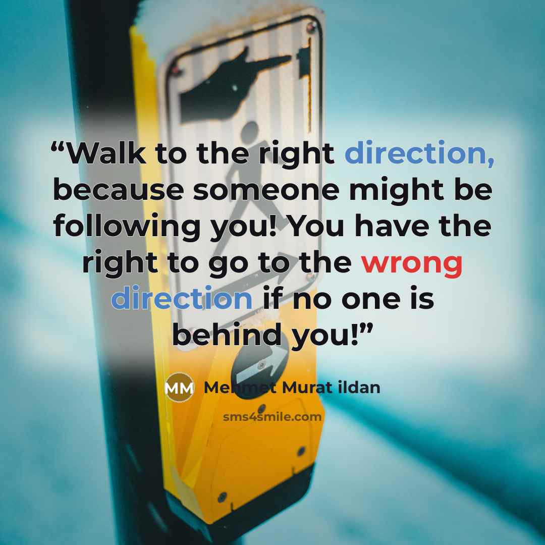 “Walk to the right direction, because someone might be following you! You have the right to go to the wrong direction if no one is behind you!” quote by Mehmet Murat ildan