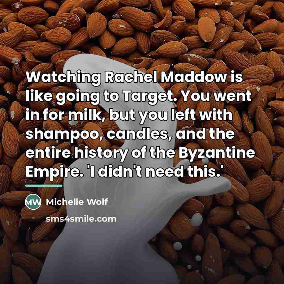 “Watching Rachel Maddow is like going to Target. You went…” quote by Michelle Wolf
