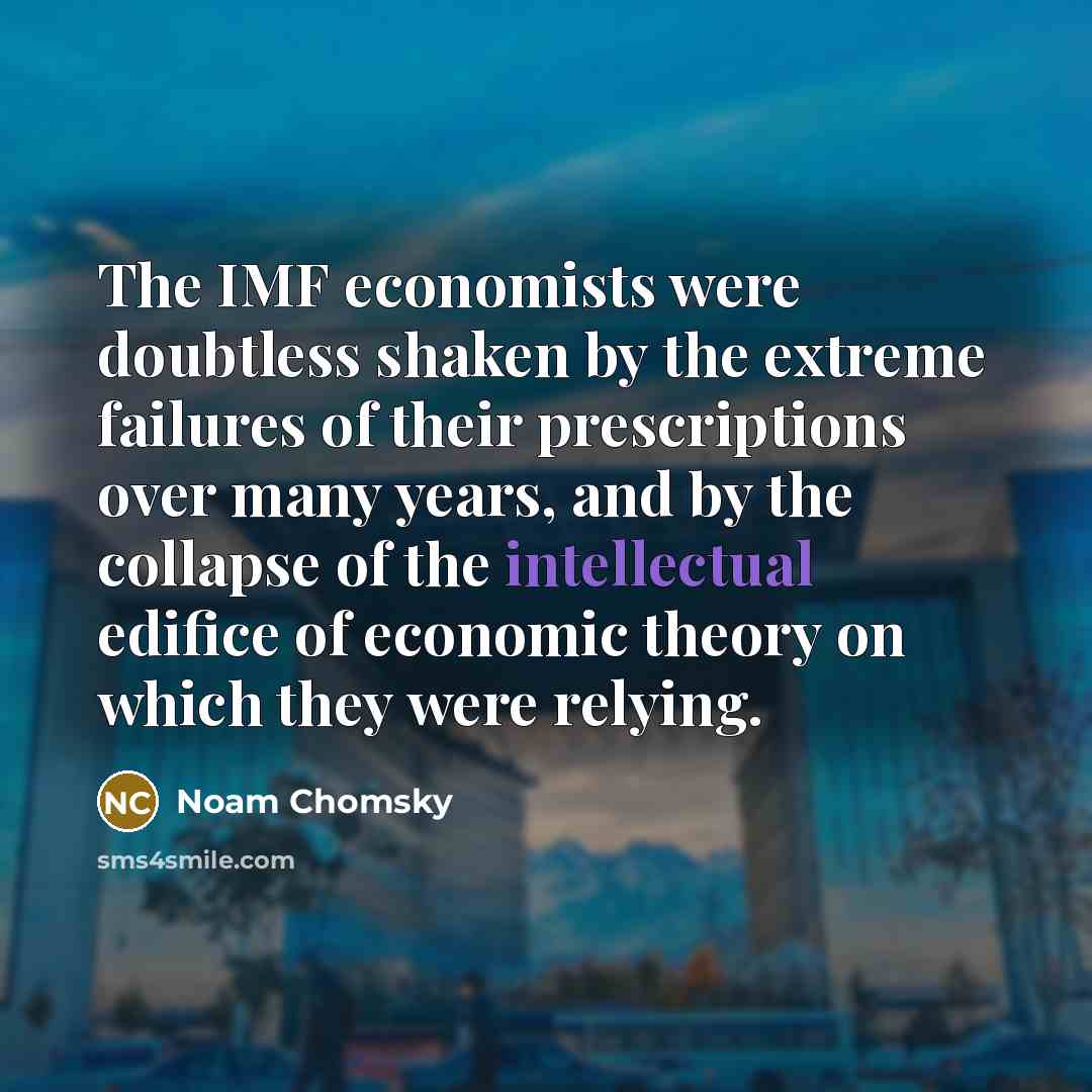 “The IMF economists were doubtless shaken by the extreme failures…” quote by Noam Chomsky