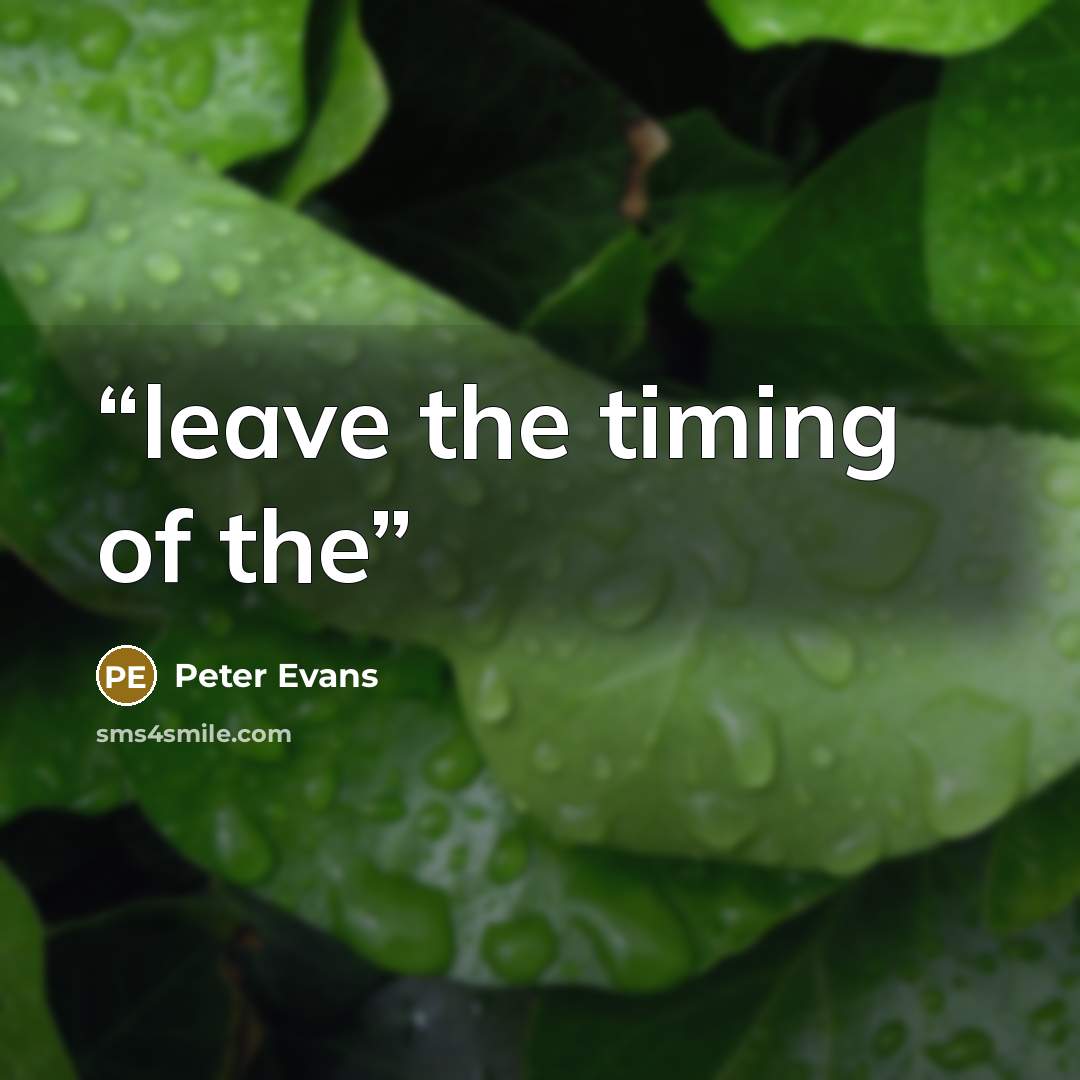 “leave the timing of the” quote by Peter Evans