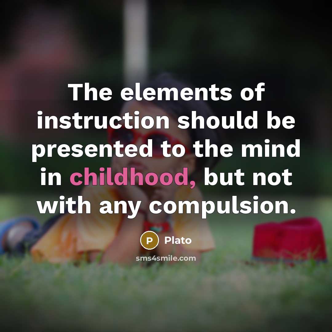 “The elements of instruction should be presented to the mind…” quote by Plato