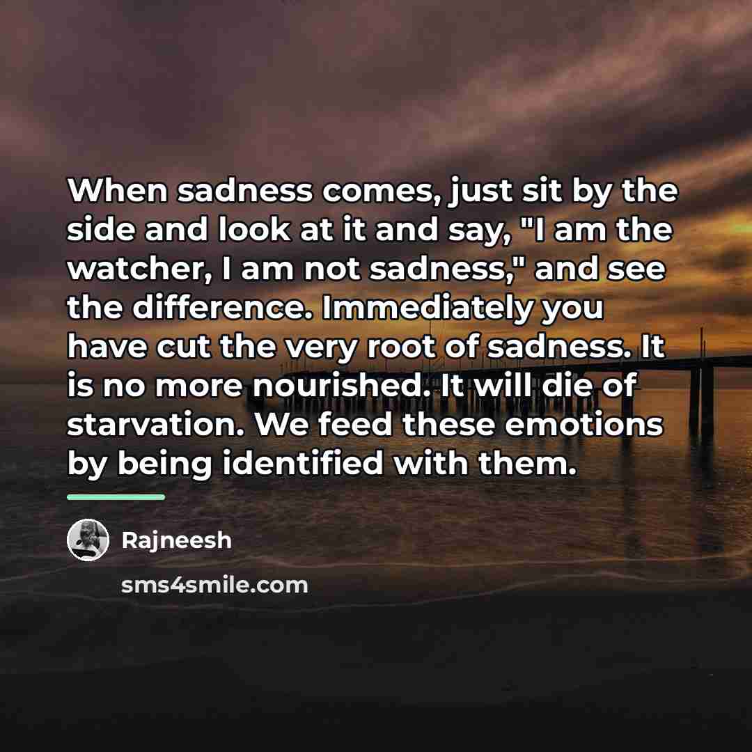 “When sadness comes, just sit by the side and look…” quote by Rajneesh