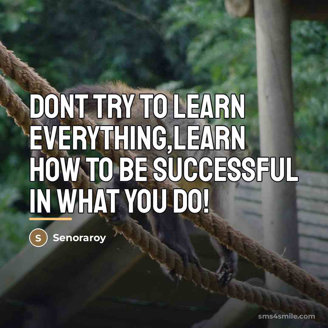 “Dont try to learn everything,Learn how to be successful in…” quote by Senoraroy