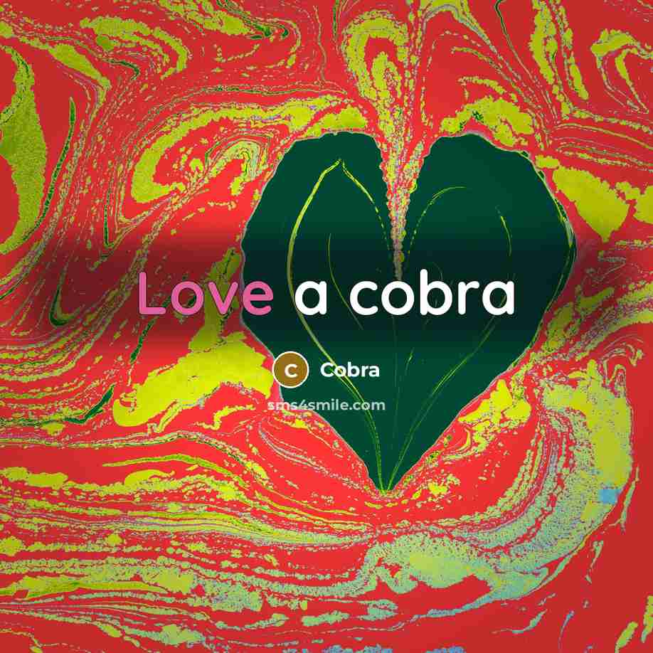 “Love a cobra” quote by Cobra