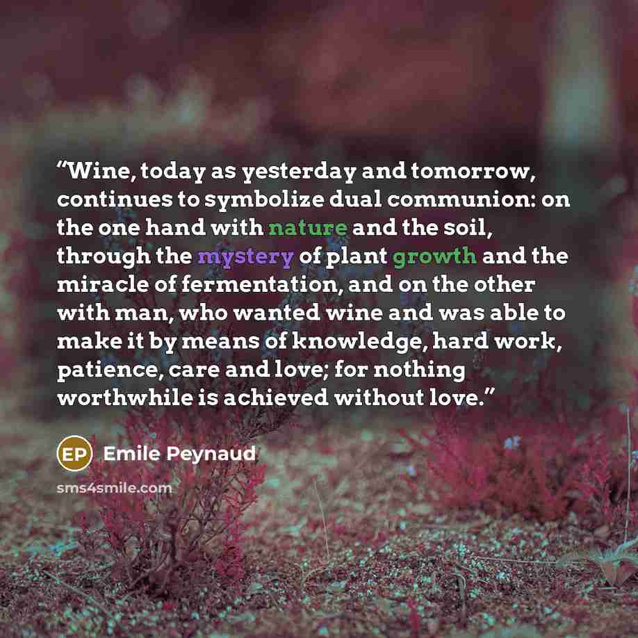 “Wine, today as yesterday and tomorrow, continues to symbolize dual communion: on the one hand with nature and the soil, through the mystery of plant growth and the miracle of fermentation, and on the other with man, who wanted wine and was able to make it by means of knowledge, hard work…” quote by Emile Peynaud