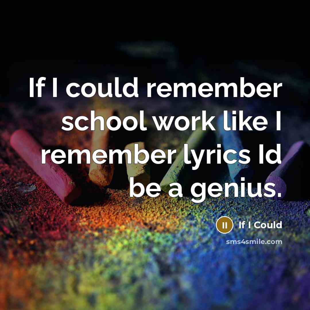 “If I could remember school work like I remember lyrics Id be a genius.” quote by If I Could