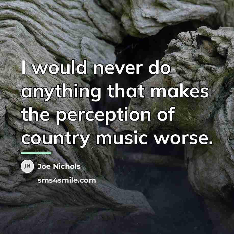 “I would never do anything that makes the perception of…” quote by Joe Nichols