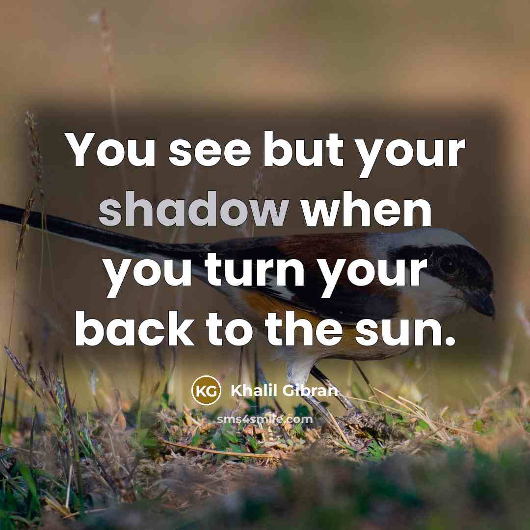 “You see but your shadow when you turn your back…” quote by Khalil Gibran