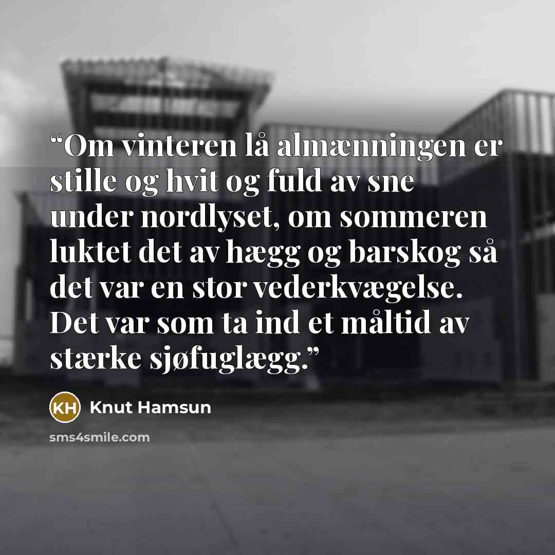 “Om vinteren lå almænningen er stille og hvit og fuld av sne under nordlyset, om sommeren luktet det av hægg og barskog så det var en stor vederkvægelse. Det var som ta ind et måltid av stærke sjøfuglægg.” quote by Knut Hamsun