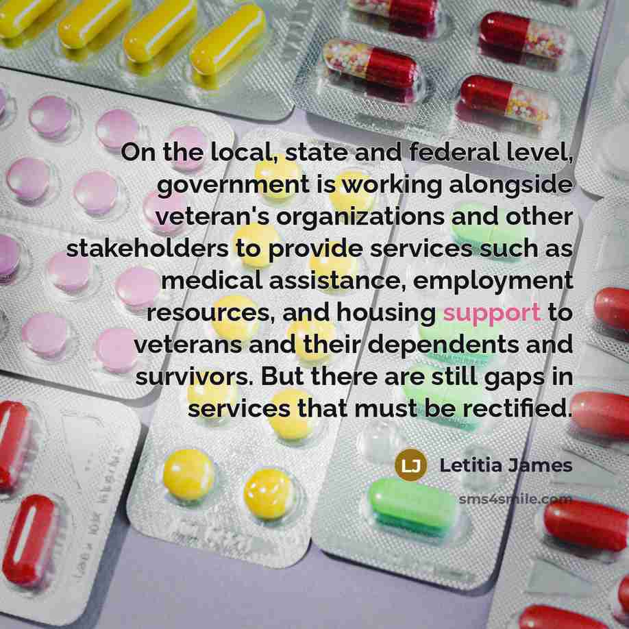 “On the local, state and federal level, government is working…” quote by Letitia James