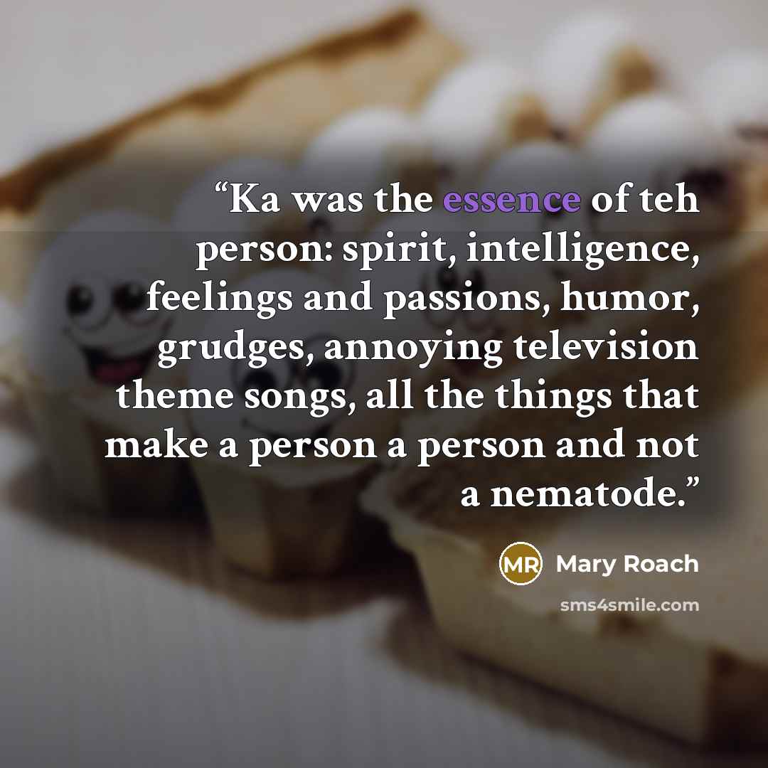 “Ka was the essence of teh person: spirit, intelligence, feelings and passions, humor, grudges, annoying television theme songs, all the things that make a person a person and not a nematode.” quote by Mary Roach