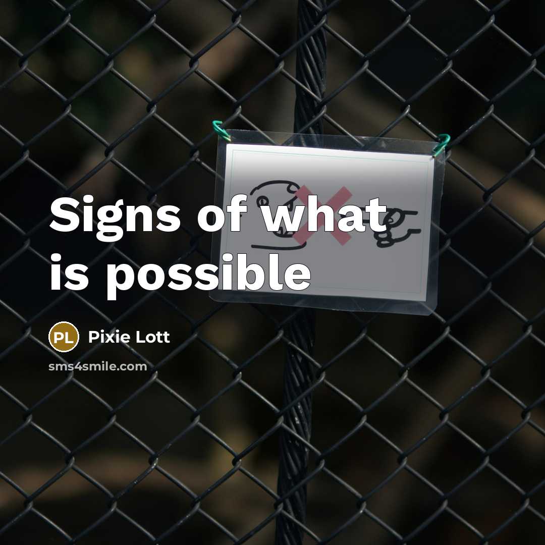 “Signs of what is possible…” quote by Pixie Lott