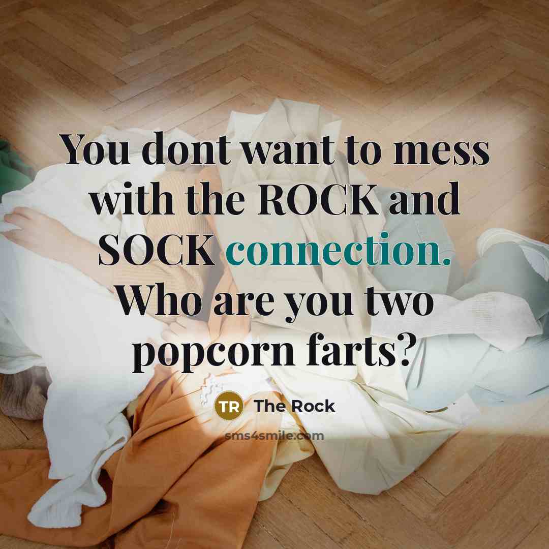 “You dont want to mess with the ROCK and SOCK connection. Who are you two popcorn farts?” quote by The Rock