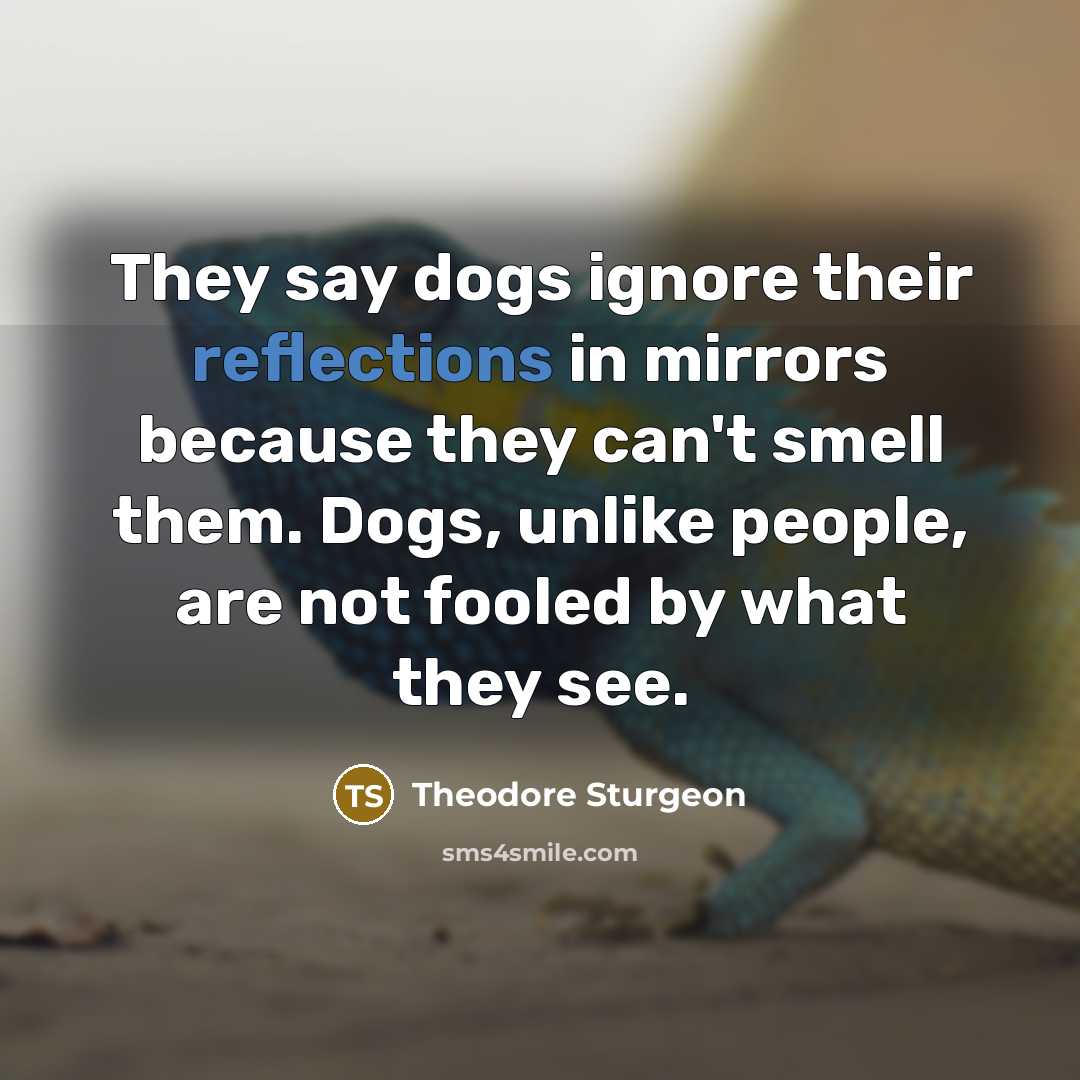 “They say dogs ignore their reflections in mirrors because they can't smell them. Dogs, unlike people, are not fooled by what they see.” quote by Theodore Sturgeon