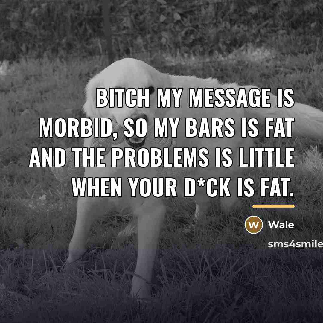 “Bitch my message is morbid, so my bars is fat…” quote by Wale